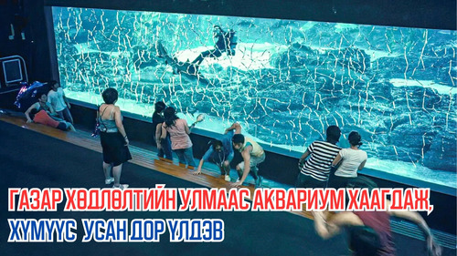 Earthquake Causes The Aquarium Glass to Shutter, Leaving Visitors Underwater+
